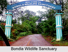 Indian Wildlife Sanctuaries